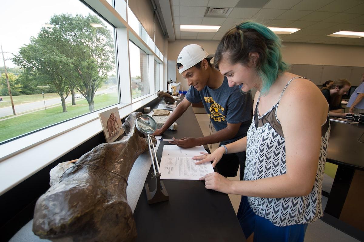 Geoscience students examining a large bone